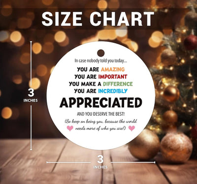 You Are Incredibly Appreciated Ornament, Affirmations Ceramic Keepsake, In Case No One Told You Today, Office Appreciation Thank You Gift