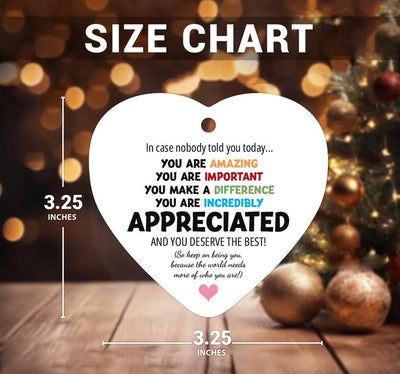 You Are Incredibly Appreciated Ornament, Affirmations Ceramic Keepsake, In Case No One Told You Today, Office Appreciation Thank You Gift