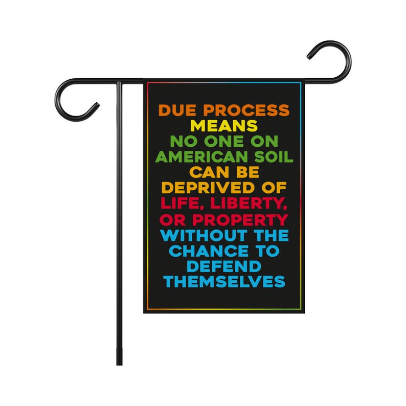 Due Process Save Democracy Resistance Resist Garden Flag, Double Sided, Resist Hate, Anti-Trump, Resist Racism, Resist Fascism Flag