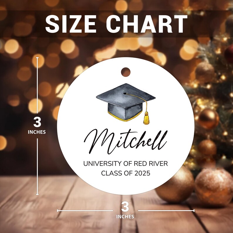 Personalized Graduation Ornament, Custom Ceramic Keepsake, College University High School Gift, Class of 2025, Master's Degree Memory Grad