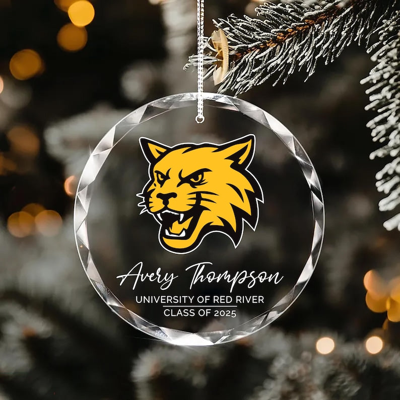 Custom University Logo Crystal Ornament, College Graduation Gift for Her, Personalized Class of 2025 Keepsake, School Grad Glass Ornament
