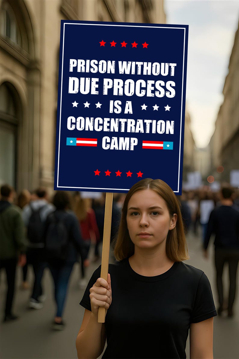 Due Process Resist No Kings Protest Sign, Anti-Trump Resistance, Political Activist Poster, Rally Sign, Resist Fascism Protest Poster