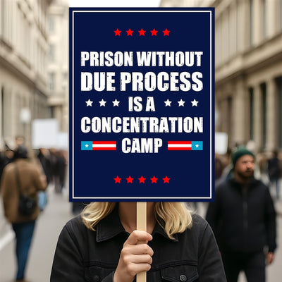 Due Process Resist No Kings Protest Sign, Anti-Trump Resistance, Political Activist Poster, Rally Sign, Resist Fascism Protest Poster