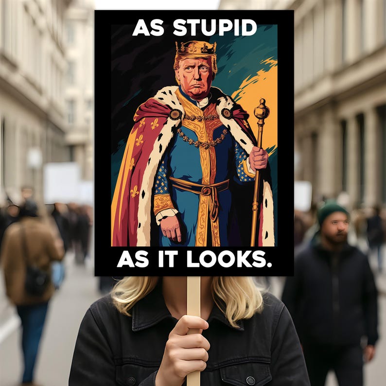 As Stupid As It Looks Protest Sign, Anti-Trump Resistance, Political Activist Protest Poster, Rally Sign, Resist Fascism, Resist Rascism