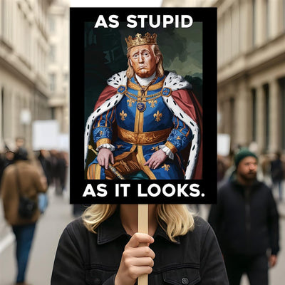 As Stupid As It Looks Protest Sign, Anti-Trump Resistance, Political Activist Protest Poster, Rally Sign, Resist Fascism, Resist Rascism