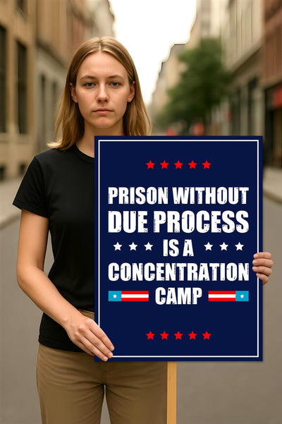 Due Process Resist No Kings Protest Sign, Anti-Trump Resistance, Political Activist Poster, Rally Sign, Resist Fascism Protest Poster