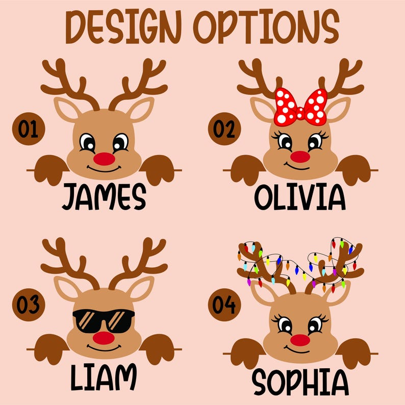 Reindeer Family Christmas Sweatshirt, Personalized Christmas Family SweatShirt, Custom Family Name SweatShirt, Funny Christmas SweatShirt