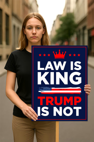 No Kings In America Protest Sign, Anti-Trump Resistance