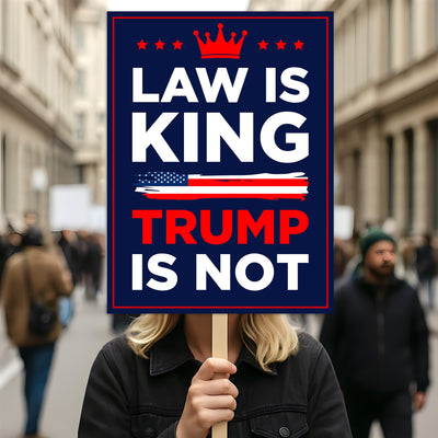 No Kings In America Protest Sign, Anti-Trump Resistance